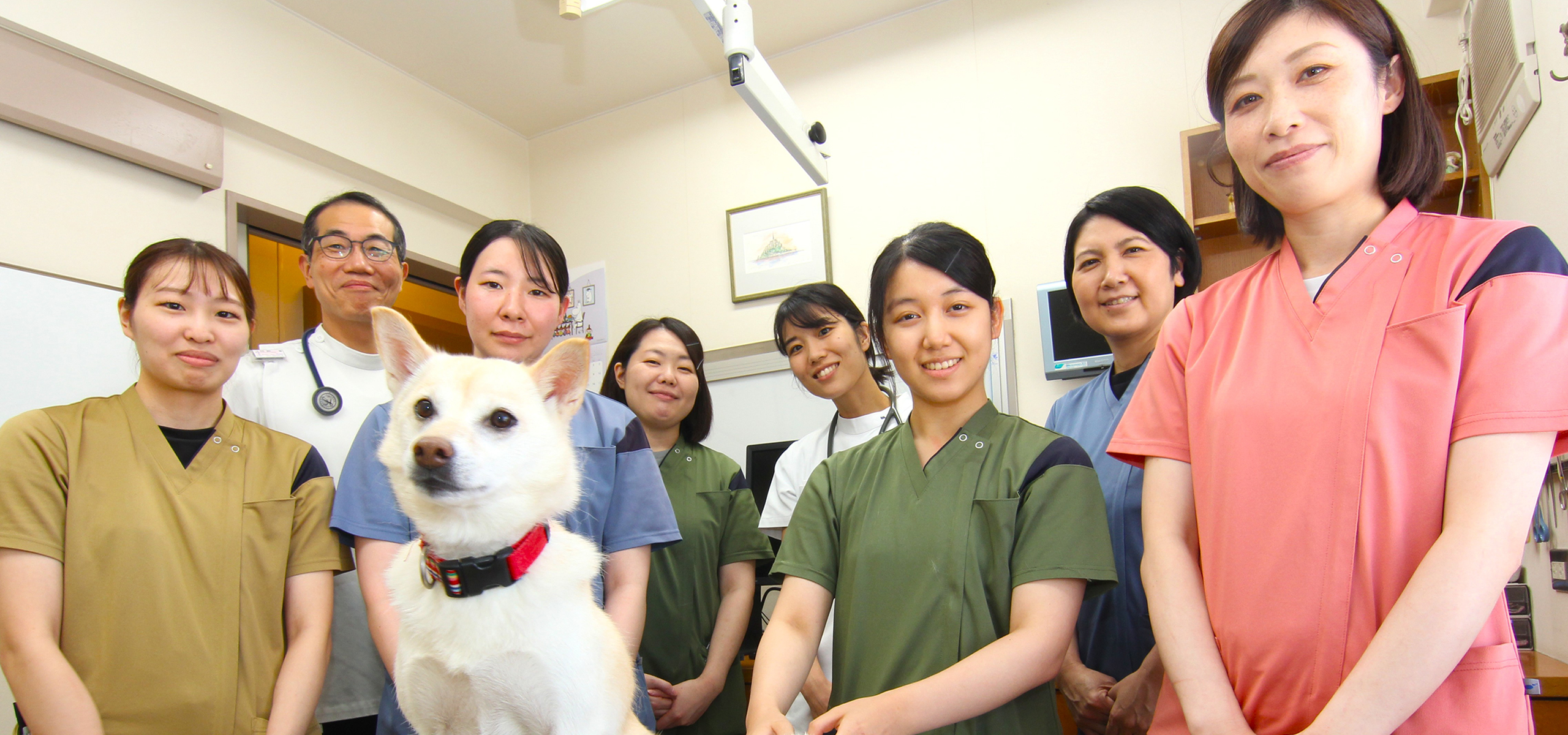 ももたろう動物病院